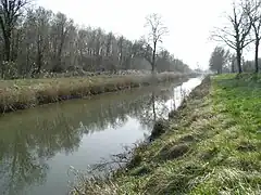 Le canal de la Charente à la Seudre est le plus long canal de la Charente-Maritime.