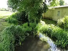 Le canal des Moulins au sud de la route départementale 81, à Gurat.