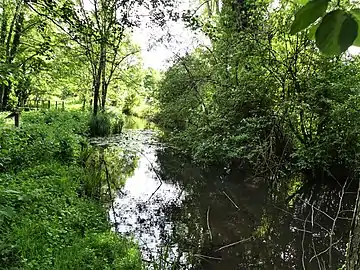 Le canal des Moulins le long du sentier menant à la chapelle monolithe.