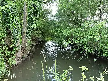 Le canal des Moulins à l'est du lieu-dit Maine Barillaud.