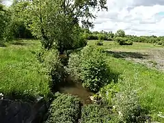 Bras du canal des Moulins au lieu-dit Moulin Neuf, à Salles-Lavalette.