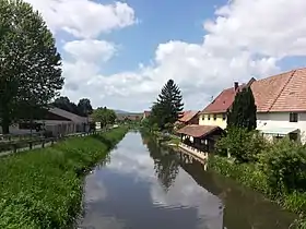 Canal de la Bruche à Ergersheim.