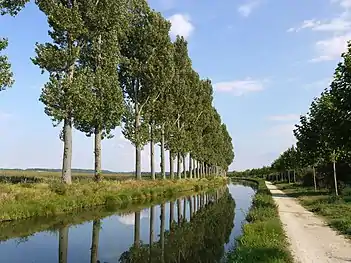 Le canal de l'Ourcq près de Vignely
