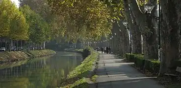 L'« eau verte du Canal du Midi ».