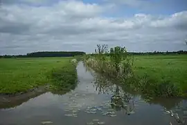 Photographie d'un canal au milieu de prairies.
