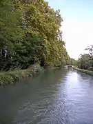 Le canal près de Fontet, Gironde