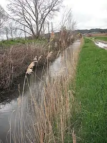 Canal du marais des Baux