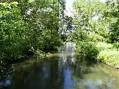 Le canal du Moulin de Champatier à Palluaud.