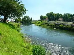 La Canche à Montreuil en été.