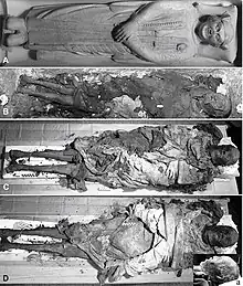 Partie supérieure du sarcophage contenant le corps naturellement momifié de Cangrande
