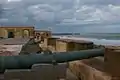 canons en bronze alignés face à la mer