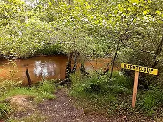 Ruisseau de Canteloup sur le site de Bouricos