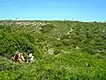 Sentier de randonnée pour le Cap de pertusato