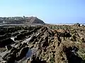 L'érosion différentielle sur la structure plissée du platier du cap Gris-Nez, est à l'origine des bancs sub-verticaux de calcaire et de grès qui forment des crêtes.