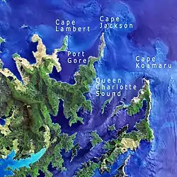 L'embouchure de la baie de Tōtaranui / de la Reine Charlotte, vue satellite datant de 2018