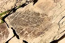 Pétroglyphes gravés sur les rochers schisteux du site d'art rupestre de la vallée de Côa, remontant au Gravettien.