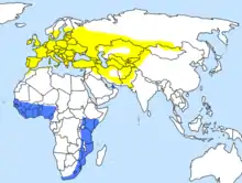 Carte centrée sur l'Afrique et l'Eurasie montrant en bleu les zones d'hivernage et en jaune les zones de reproduction ; une bande bleue horizontale en Afrique de l'Ouest du Nigeria au Sénégal et une verticale en Afrique de l'Est, de l'Afrique du Sud au Kenya ; en jaune, une zone depuis l'Europe (sauf la Laponie) jusqu'à la Mongolie, l'ouest de la Chine et le Pakistan.