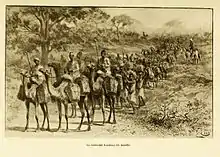 Caravane Haoussa transportant des noix de cola, région du lac Tchad vers 1895.