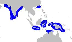 Description de l'image Carcharhinus hemiodon distmap.png.
