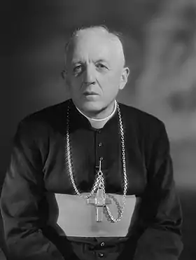 Portrait du cardinal François Marty
