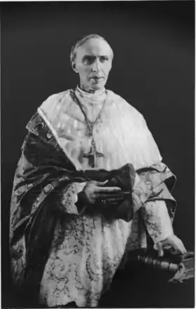 Portrait de Désiré-Joseph Mercier, archevêque de Malines (1906-1926)