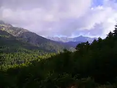 Le Monte Cardo depuis les hauteurs de Vizzavona.