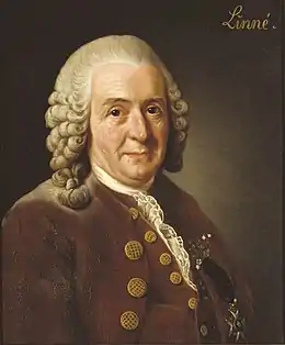 Portrait de 1775 de Carl von Linné par Alexandre Roslin