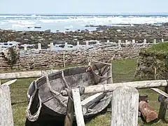 Premier jour officiel de l’été à L’Anse aux Meadows, Terre-Neuve.