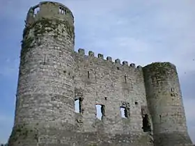 Image illustrative de l’article Château de Carlow