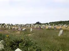 Description de l'image Carnac megalith alignment 4.jpg.