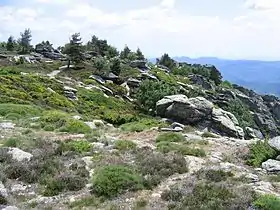Paysage du mont Caroux.
