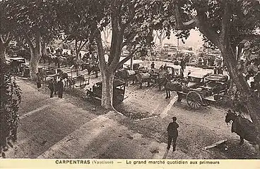 Marché quotidien aux primeurs sur les allées des Platanes