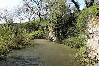 Ancienne carrière sur Mont-Saint-Saiveur