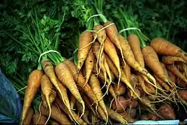 Photo en couleur de bottes de carottes avec leurs fanes.