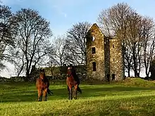 Arbres dépouillés. Ruines d'un château. Au premier plan, deux chevaux dans une prairie.