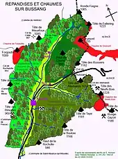 Croquis représentant les zones d'estive de Bussang, aussi appelées « chaumes » dans les Vosges.Chaumes et répandises de Bussang