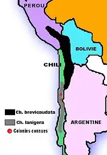 Carte d'Amérique du Sud avec deux bandes sur la côte ouest, successives mais juxtaposées au centre, et deux points rouges dans la bande inférieurs correspondant aux colonies de chinchillas lanigera restantes