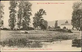 Pâturage sur la Meuse.