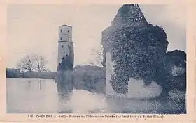 Image illustrative de l’article Château de Princé