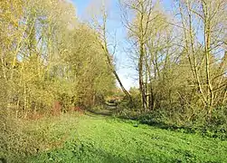 L'ancienne voie ferrée devenue voie verte à Cartigny.