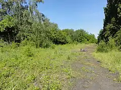 Chemin d'accès vers le puits.