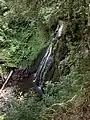 Cascade de Prés Longs, Cours d'eau : Le Lagnon