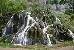 Au niveau de la cascade du Dard, les plantes participent à la précipitation de calcaire (phénomène de biolithogenèse).