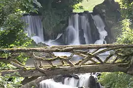 La cascade de la Saire au Vast.