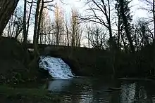 une cascade