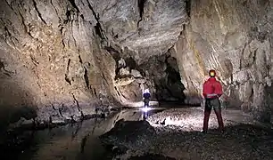 Galerie de la grotte de Cascayunga, Rioja, San Martin, Pérou.