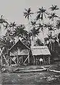 Une case créole entourée de palmiers à Terre Rouge à la fin du XIXe siècle