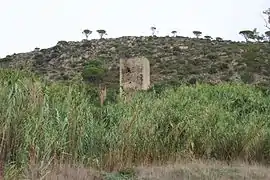 La tour de Casesnoves entre roseaux et falaises.