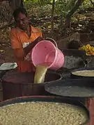 Cuves de fermentation du moût (Goa, Inde)