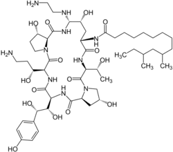 Image illustrative de l’article Caspofungine